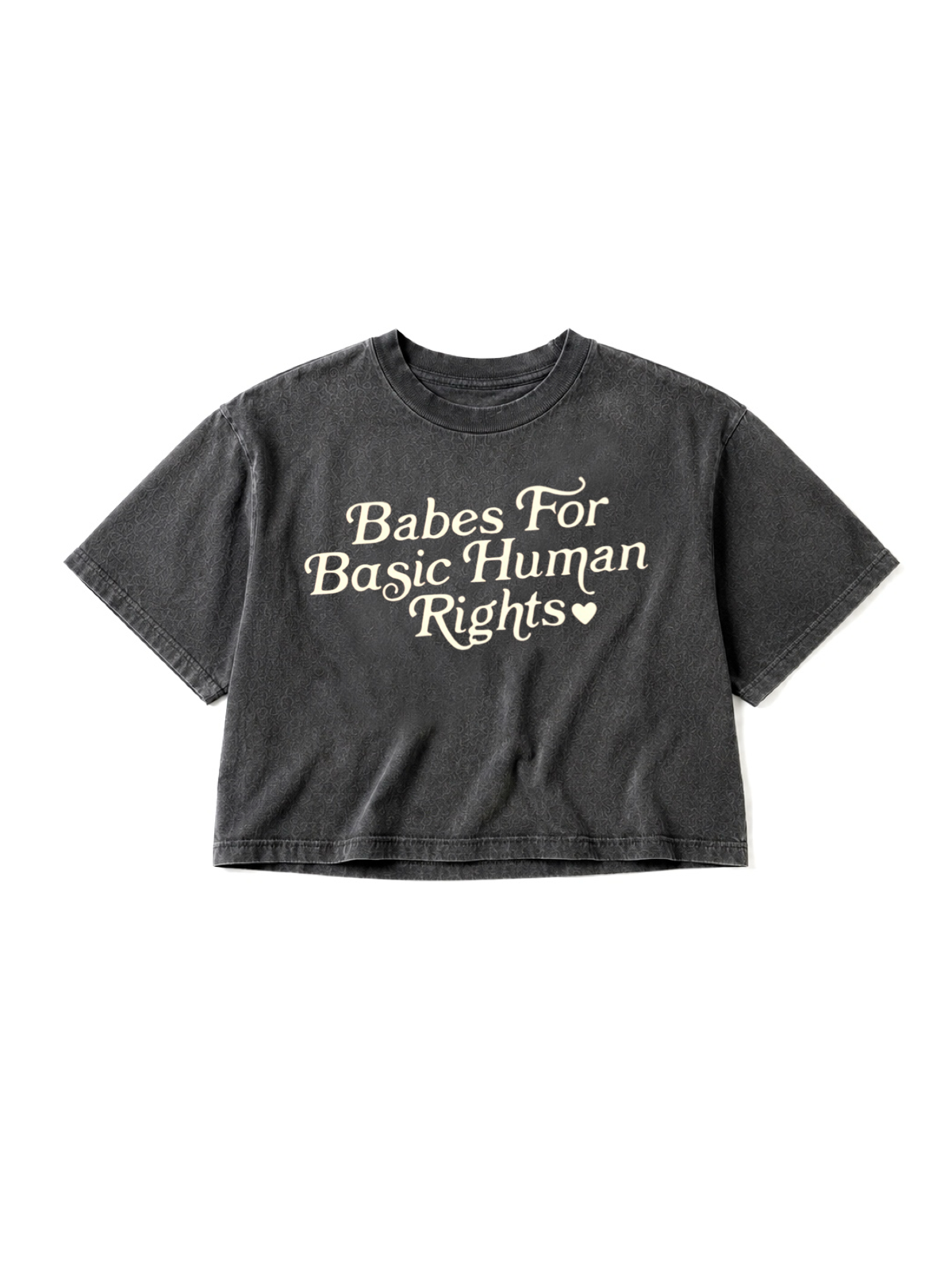 Babes For Basic Human Rights Cropped Boxy Tee - Smoke