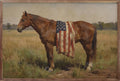 Bay Mare Horse with American Flag