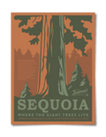 Sequoia National Park Poster