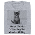 The Onion: Kitten Thinks of Murder