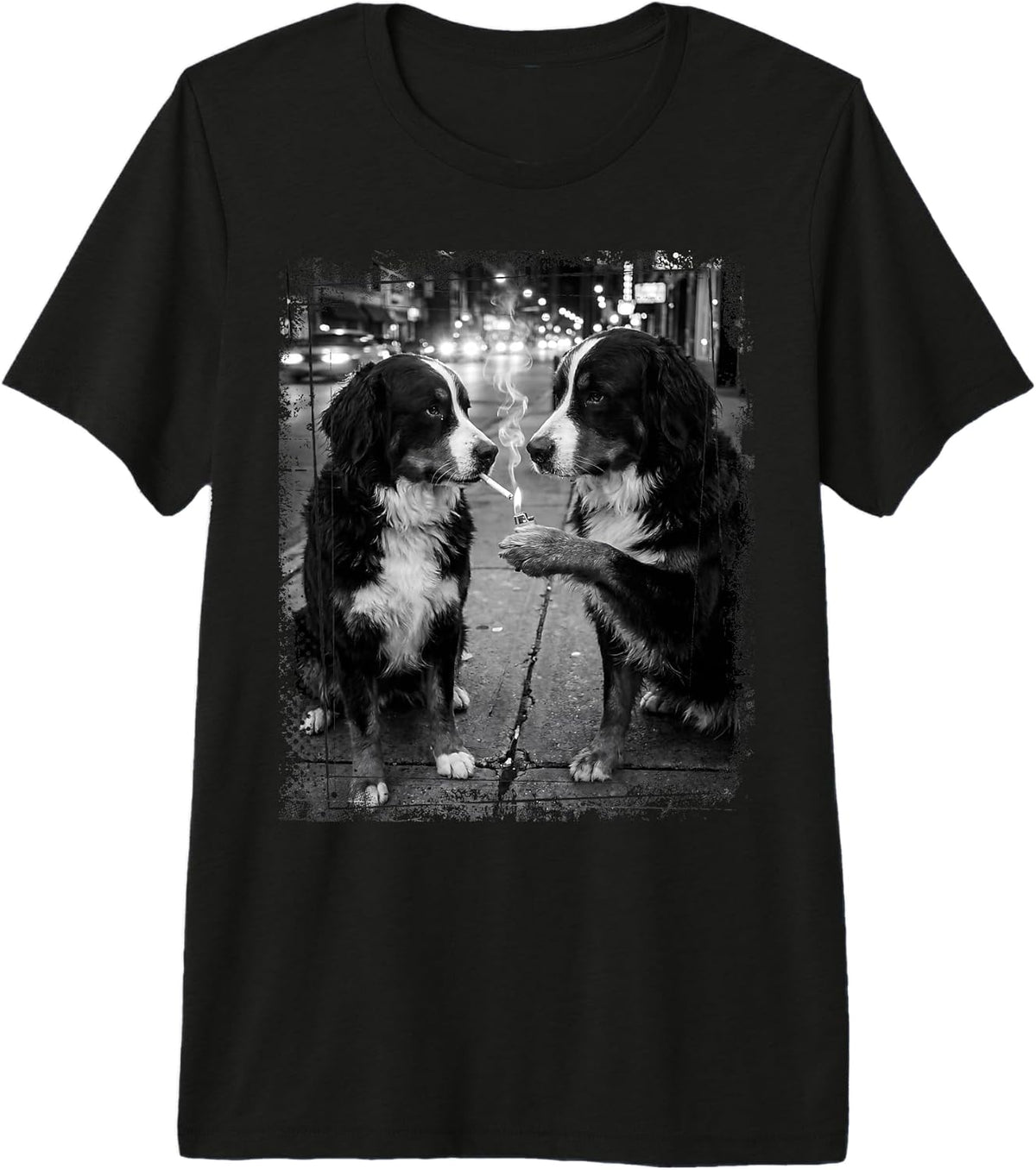 Urban Berner Paws