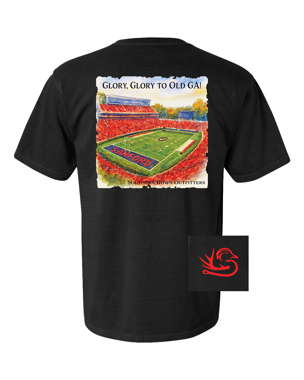 Glory Glory to Old GA 100% Cotton Graphic Tee