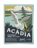 Acadia National Park Poster