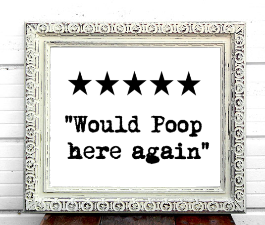 Would Poop Here Again Farmhouse Print