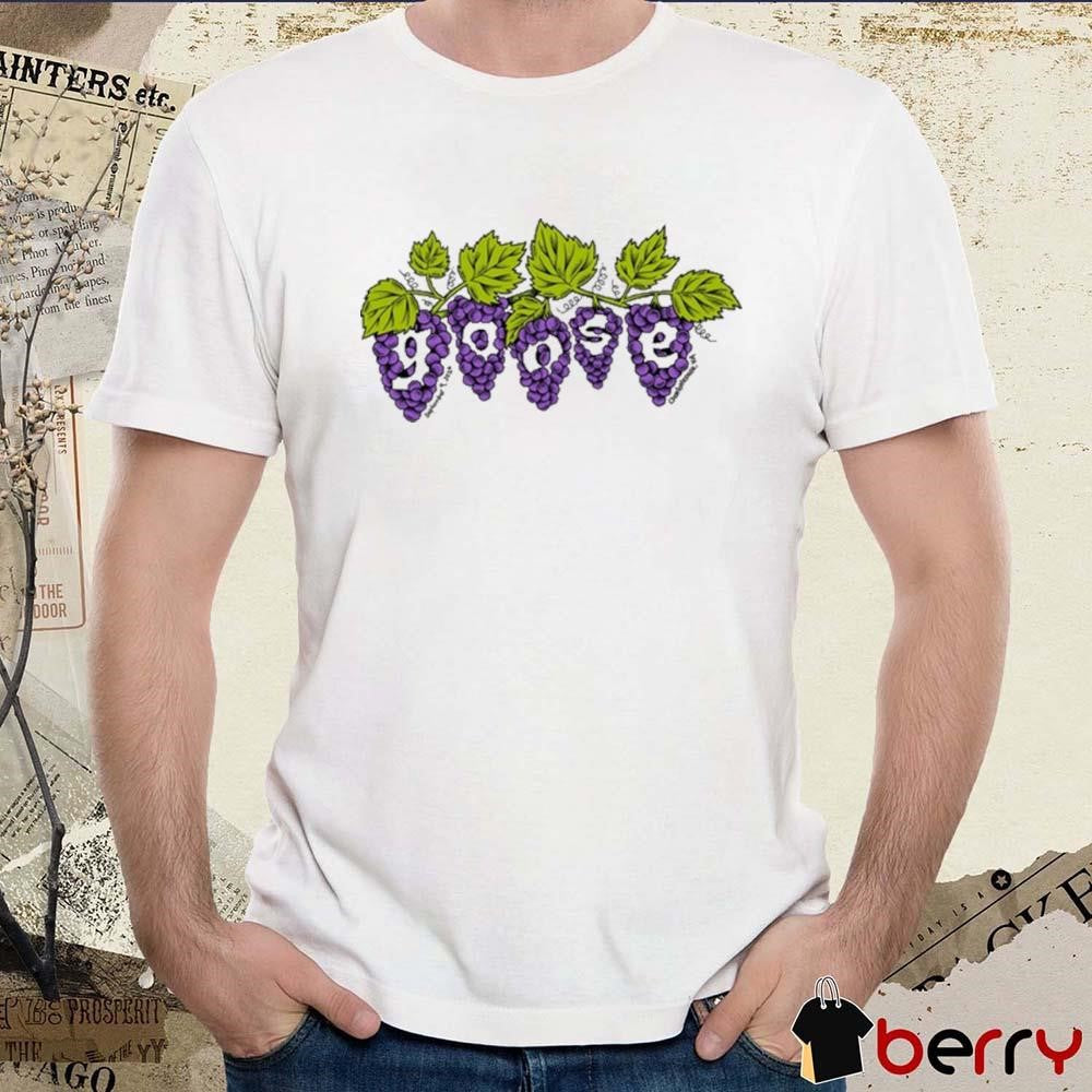 Goose Ting Pavilion Charlottesville Va September 9 2024 t-shirt