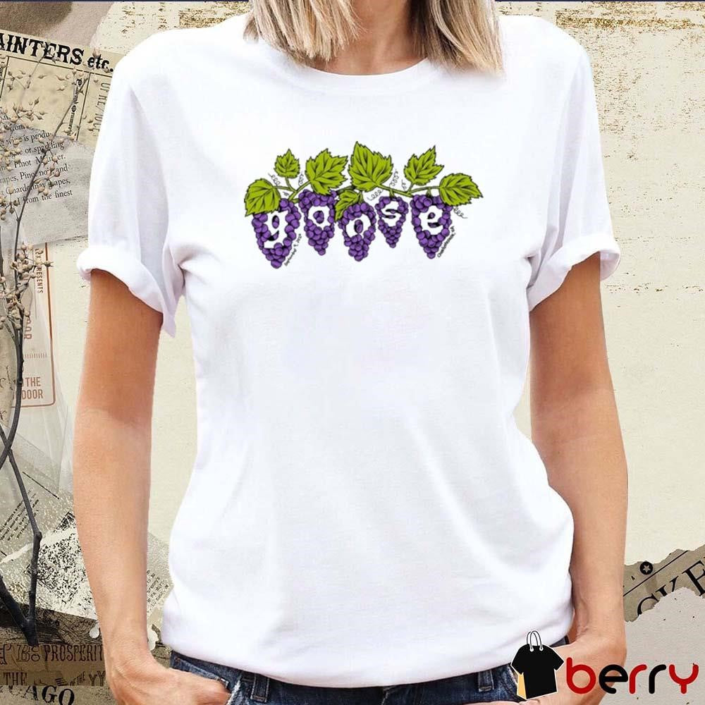 Goose Ting Pavilion Charlottesville Va September 9 2024 t-shirt