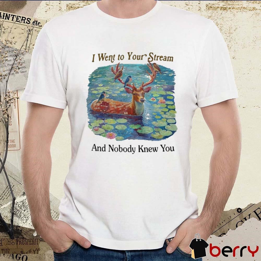 I Went To Your Stream And Nobody Knew You t-shirt