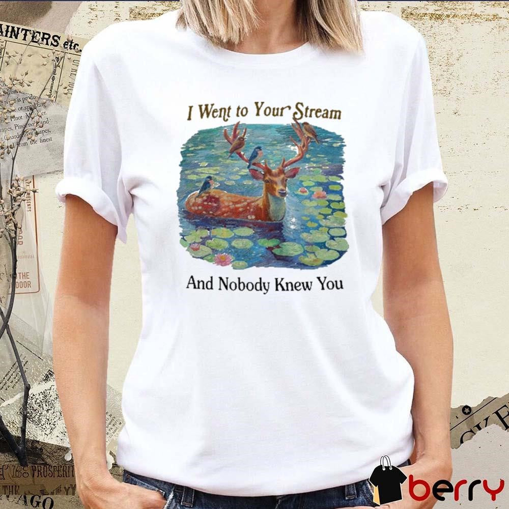 I Went To Your Stream And Nobody Knew You t-shirt