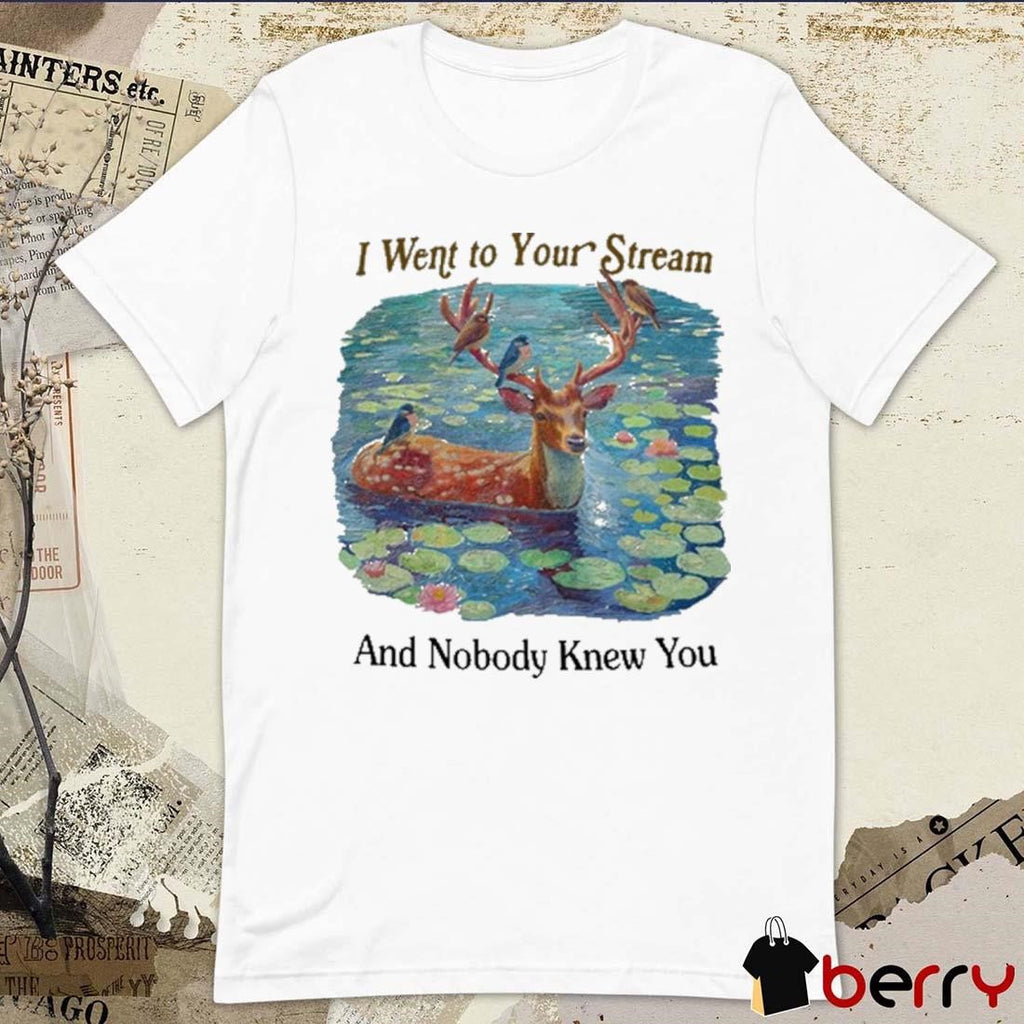 I Went To Your Stream And Nobody Knew You t-shirt