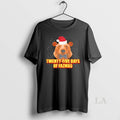 Original Twenty Five Days Of Fazmas Bear Christmas