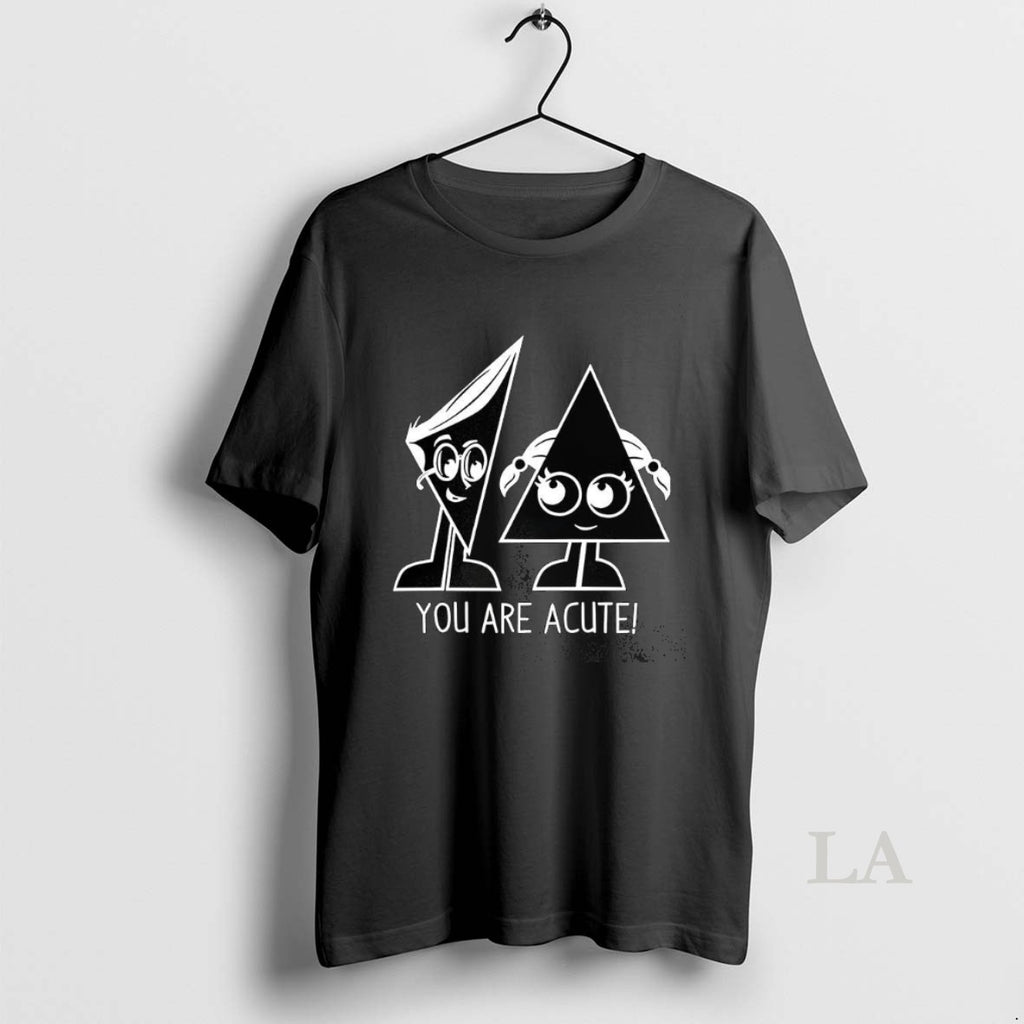 Original You Are Acute Triangle