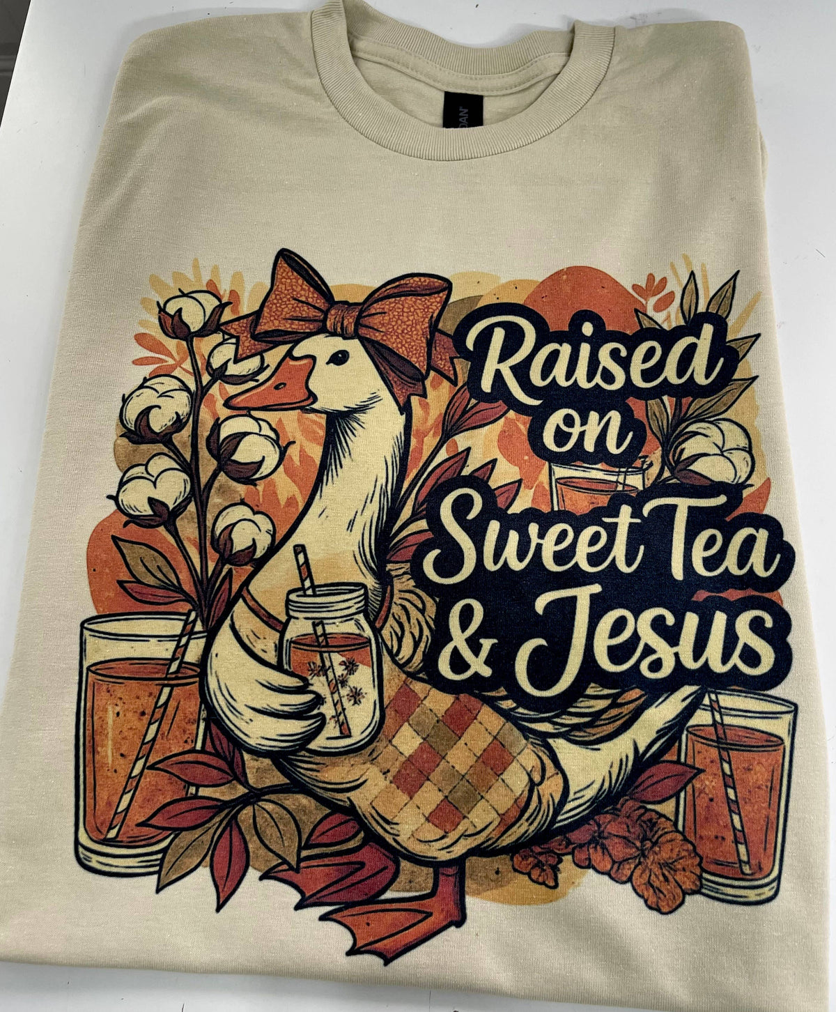 Raised On Sweet Tea and Jesus T-Shirt/ Sweatshirt