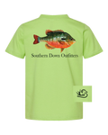 Redbreast Toddler Tee