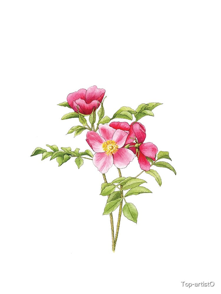 flowers by Top-artistO