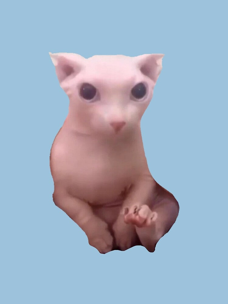 Bingus Cat - High Quality Sticker by AmirKovacevic