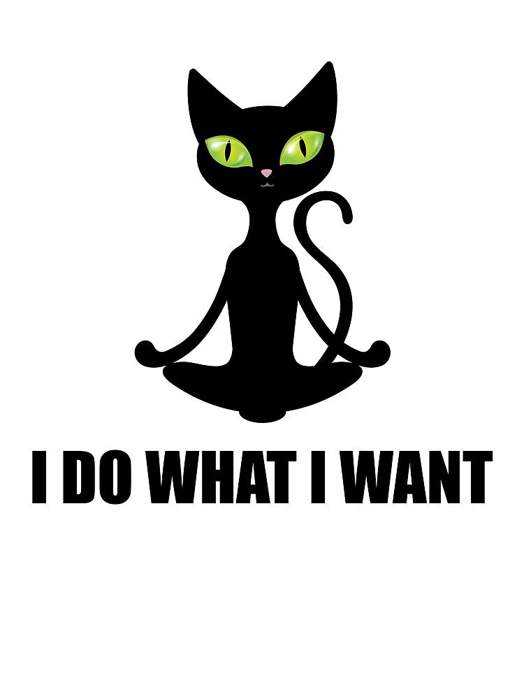 Funny Cat Personality T-shirt Cat Lovers Tee by amirdzvb