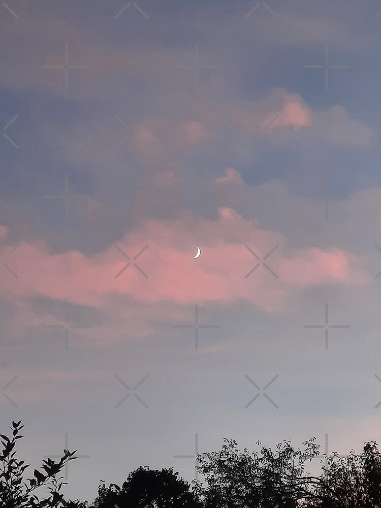 Soft and Fluffy Cotton Pink Cloudy Crescent Moon Sunset by SarahJisri