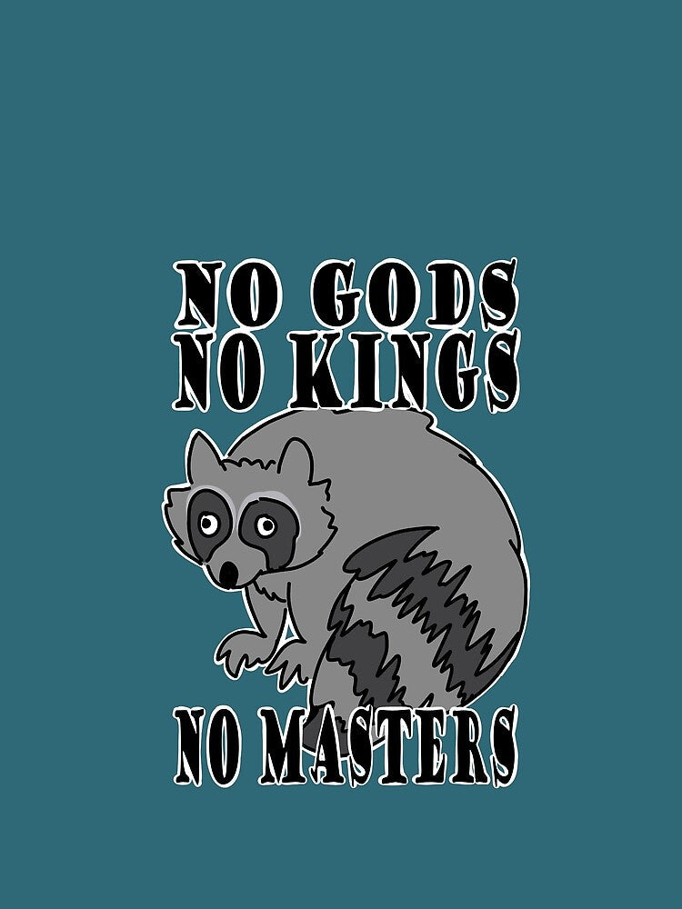 Indomitable Raccoon by magpieteeth