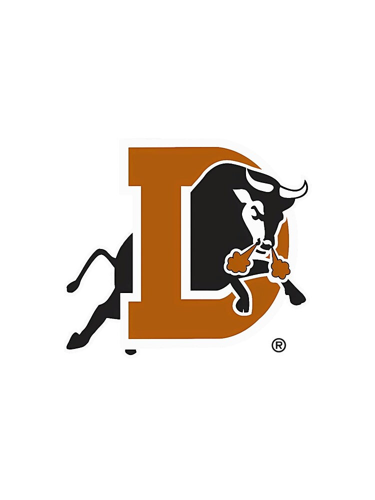 The Bulls Logo For Men Women by DiegoLuca