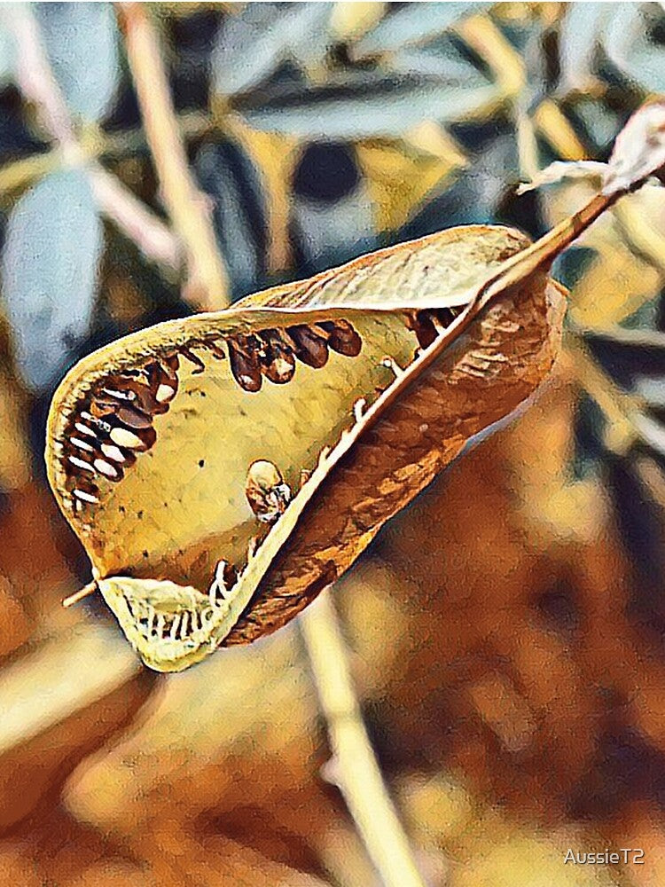 Bush Pod - warm filter by AussieT2
