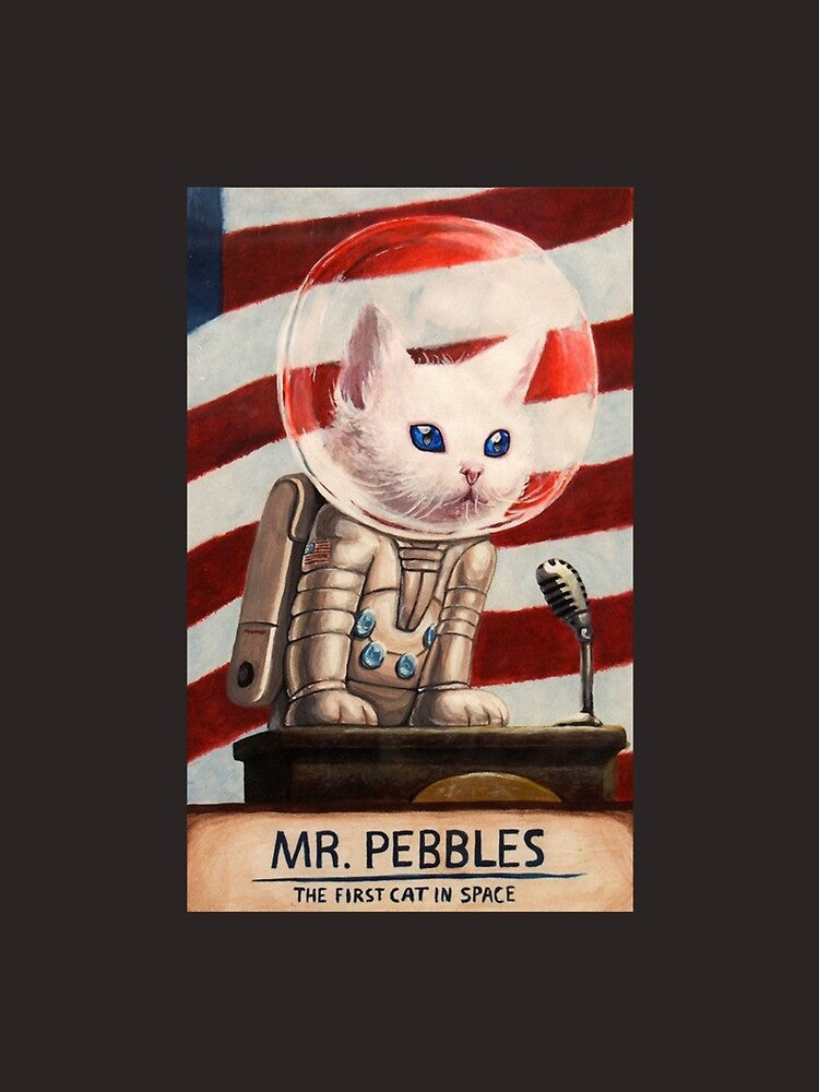 MR PEBBLES - High Quality Classic T-Shirt by MartinStender