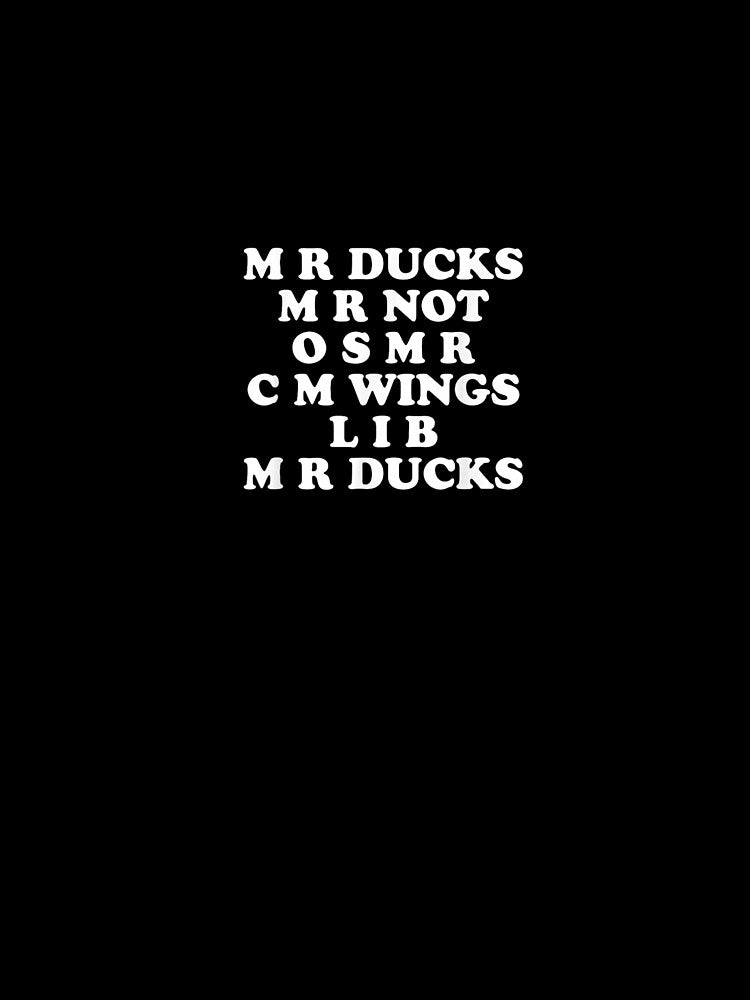 MR M R Ducks T, Funny Duck Lover, Waterfowl Quote & Pun by ArtFunDib