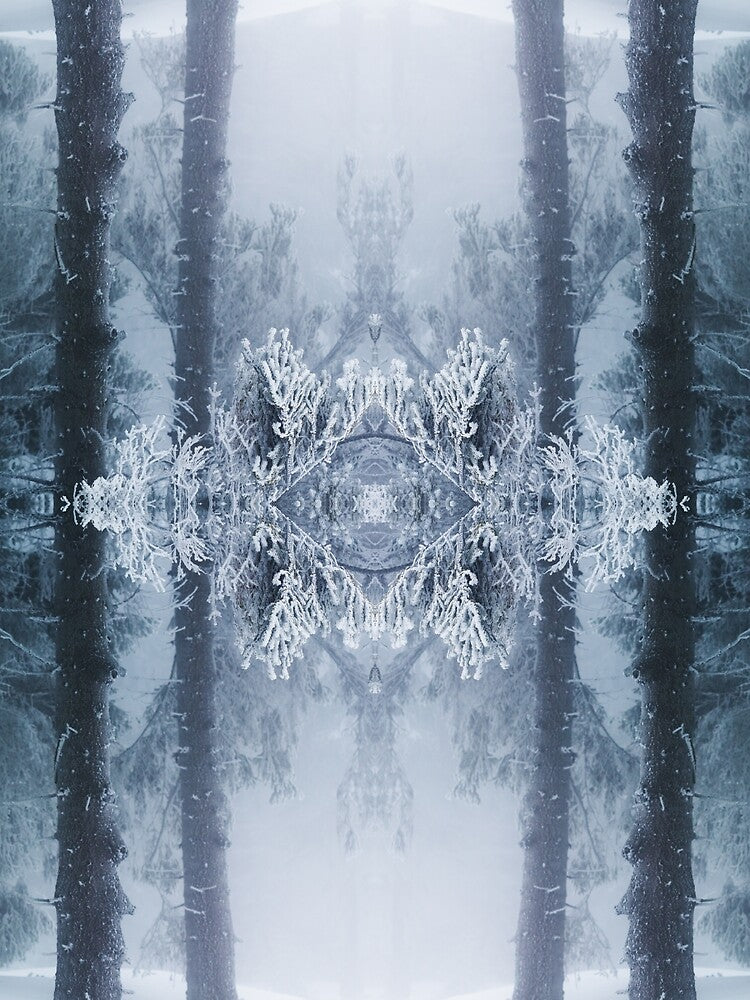 Winter wonderland # 1 by Psilographics