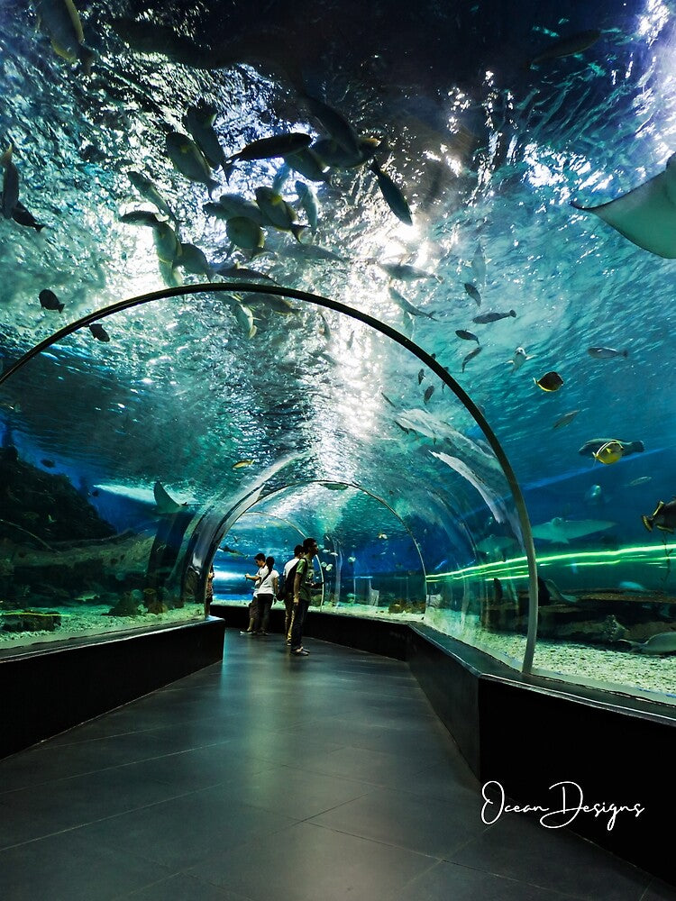 Tunnel Underwater by oceandesignsfx