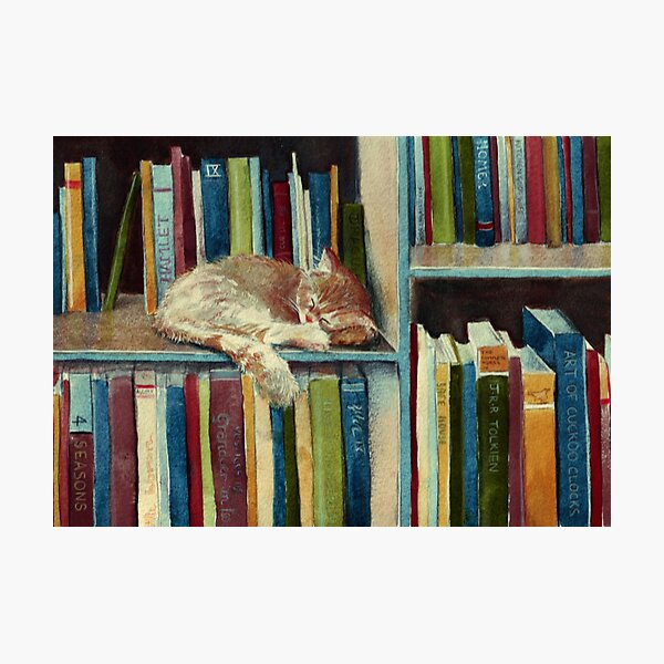 Quite Well Read by Sarah  Mac Illustration