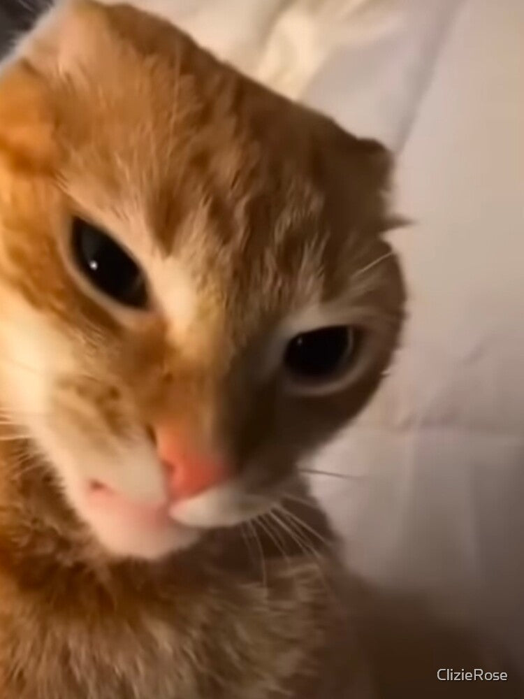 angry orange cat meme by ClizieRose