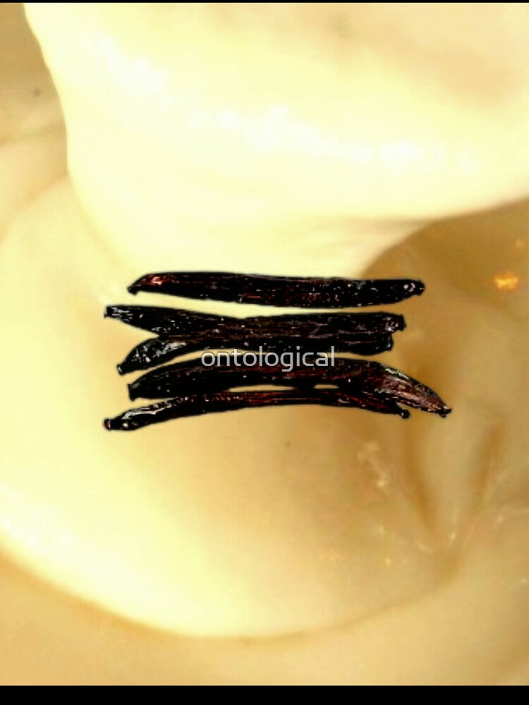 Vanilla Pods by ontological