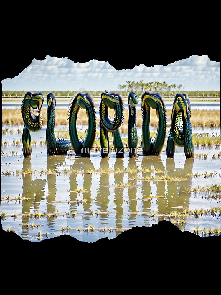 FLORIDA 24 2 by maveluzone