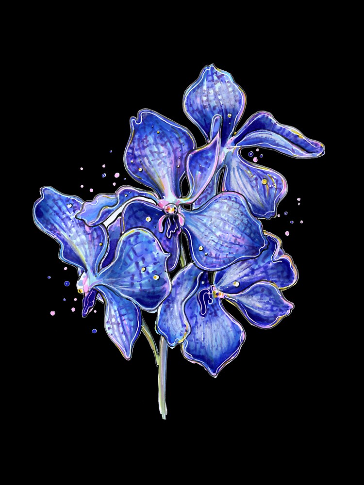 Flower deep blue orchid vanda illustration by InessArt
