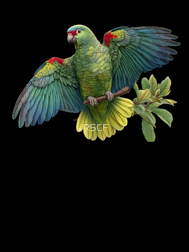 Red-browed Amazon Parrot by RSCF by RSCF