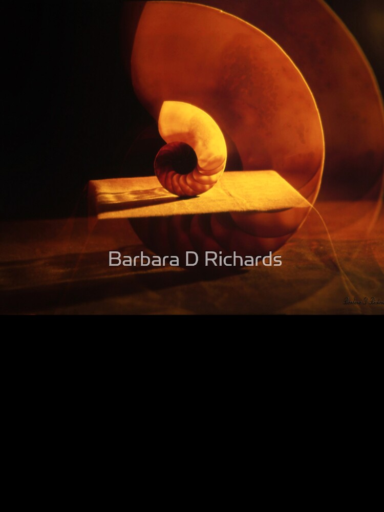 Shell Game by Barbara D Richards