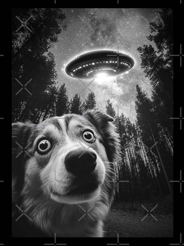 Funny Australian Shepherd UFO selfie by CompassandCrate