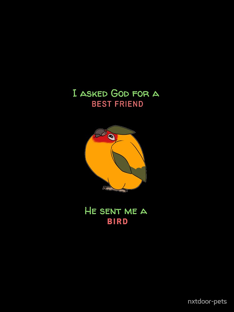 Bird Best Friend by nxtdoor-pets