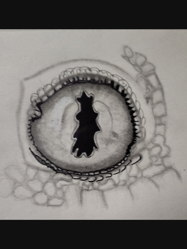 Hand drawn reptilian eye by Katchtattoo