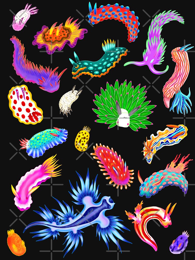 Rainbow Nudibranchs (Sea Slugs) Assortment by Marta Tesoro