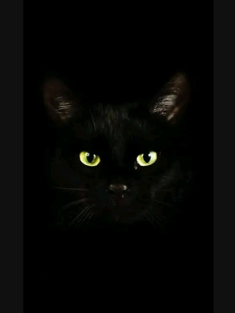 Dark Insides cat by riawawawuwi