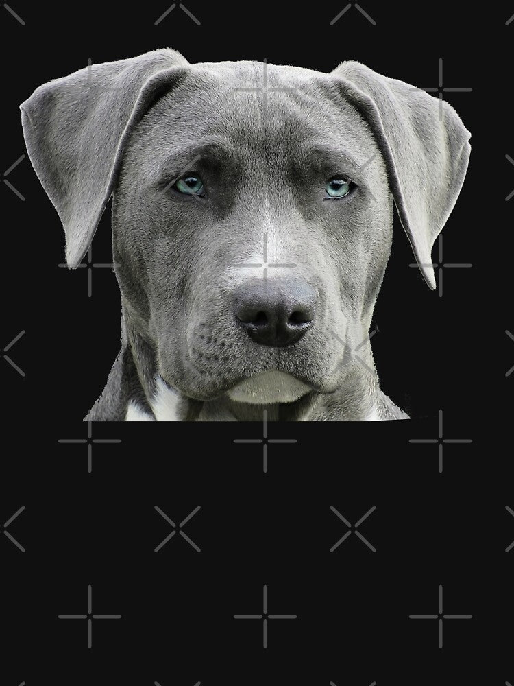The Boss Dog - Blue by simpleones