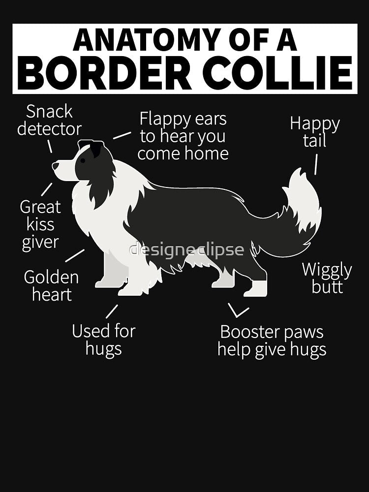 Border Collie Dog Anatomy by designeclipse