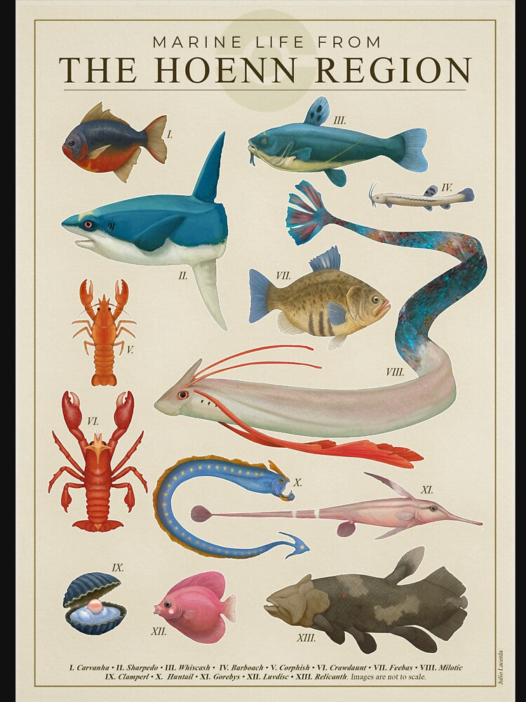 Marine Life from Hoenn by Julio Lacerda