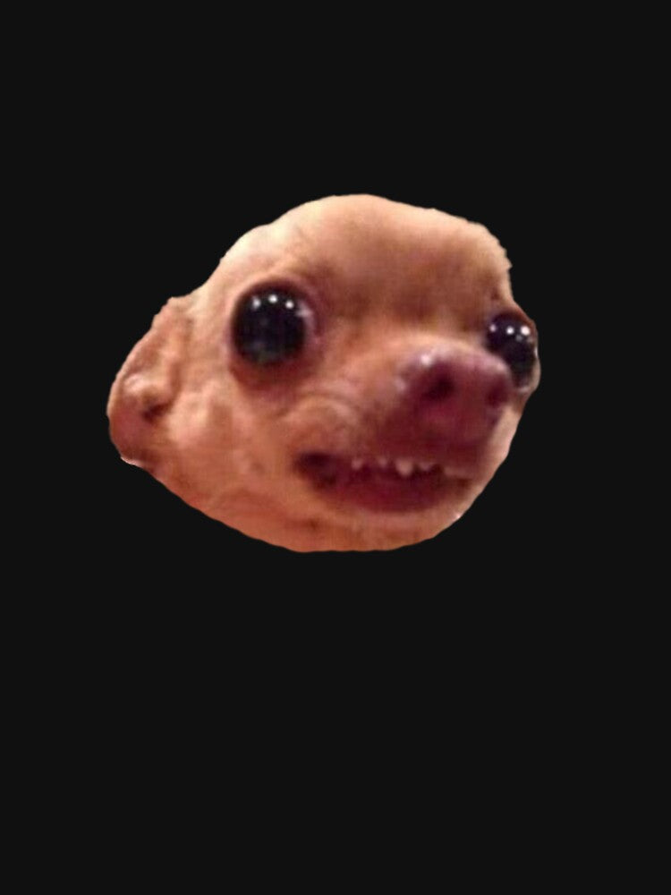 chihuahua by MEMEZZONE