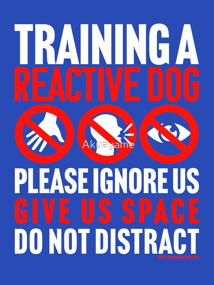 Training a Reactive Dog, please ignore us, give space, do not distract by Akuayame