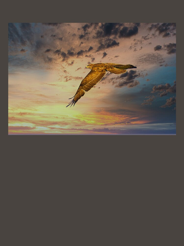Bird of Prey into the sunset by JerryTye