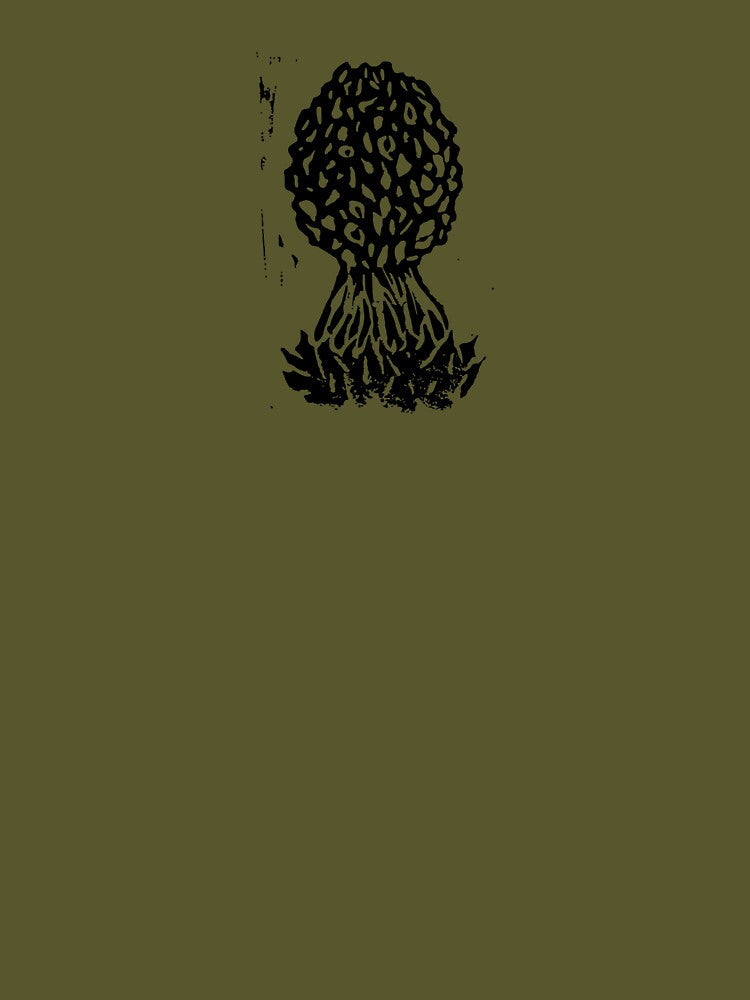 Black Morel by aylabmakesart