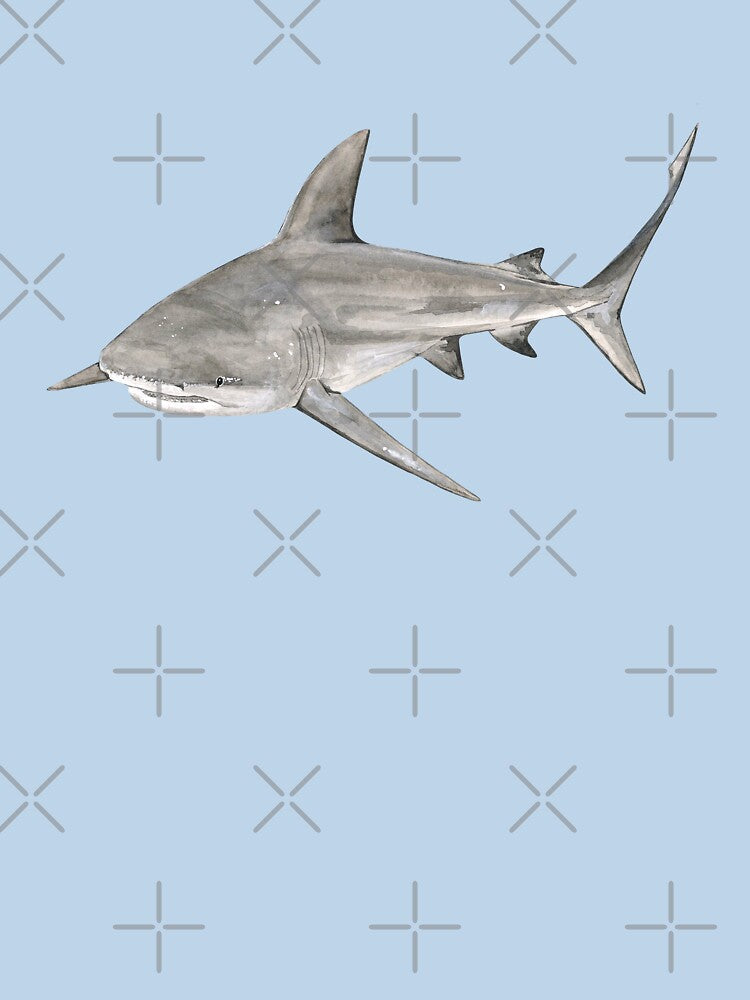BULL SHARK-Carcharhinus leucas by BEATRIZ ABAITUA