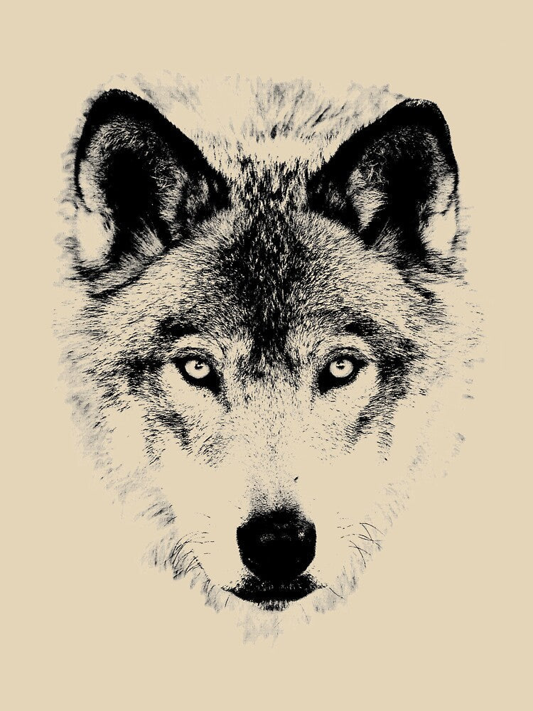 Wolf Face. Digital Wildlife Image. by Digital Eclectica