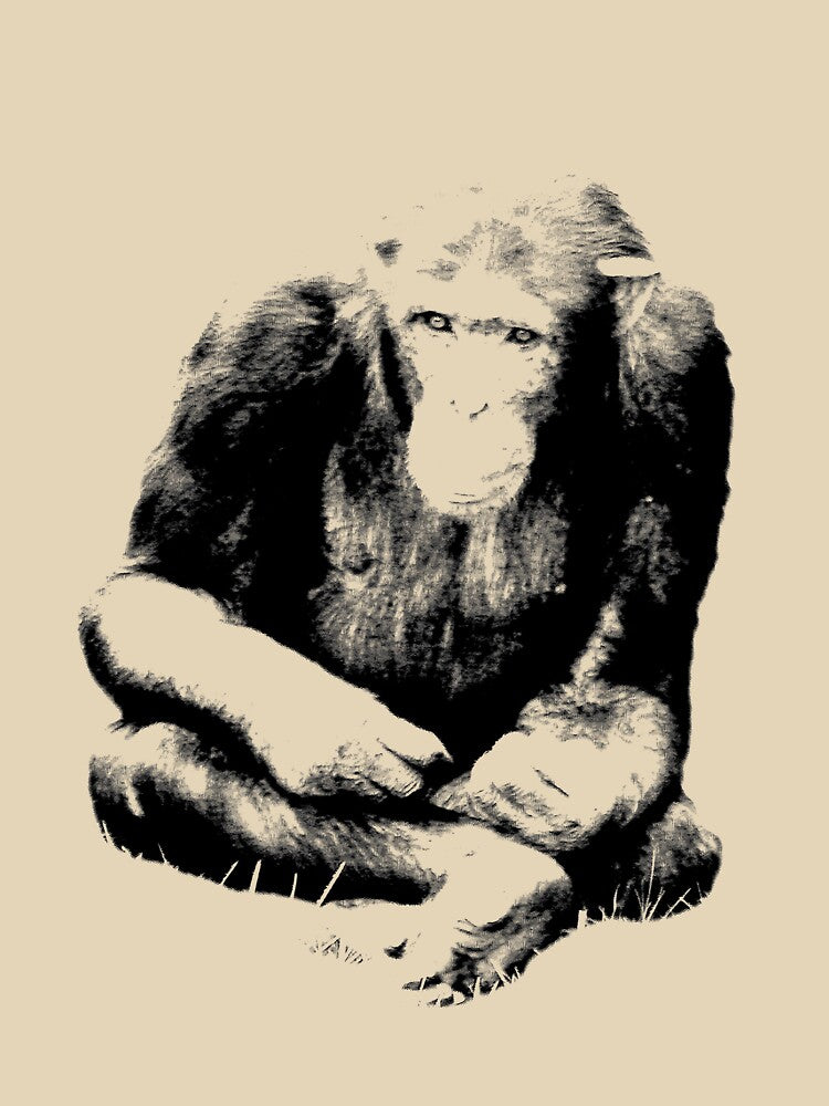 Chimpanzee Sitting in the Jungle. Wildlife Digital Engraving Image by Digital Eclectica